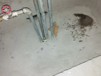 富民卫生间测漏水价格明细